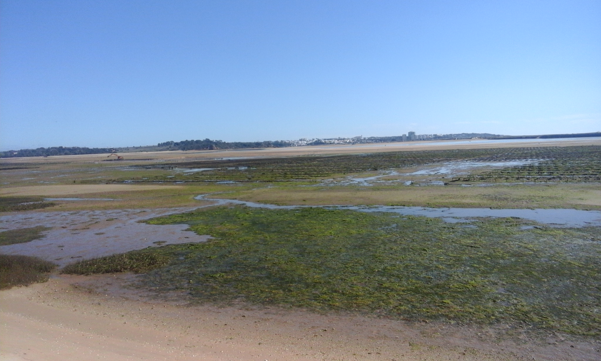 Alvostral – Produção e comercialização de bivalves
